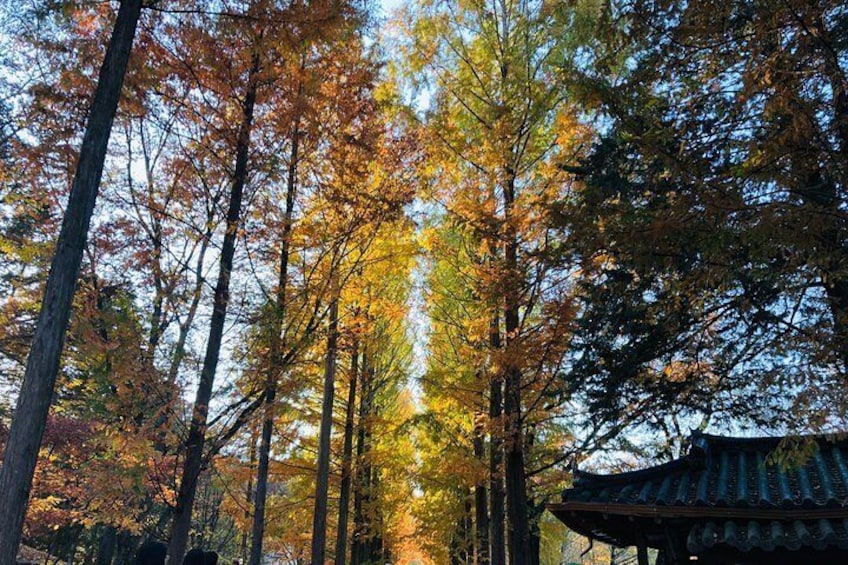 Nami Island