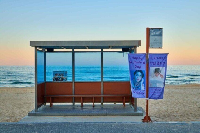 Summer Special: BTS Discharge Celebration ARMY Tour from Seoul