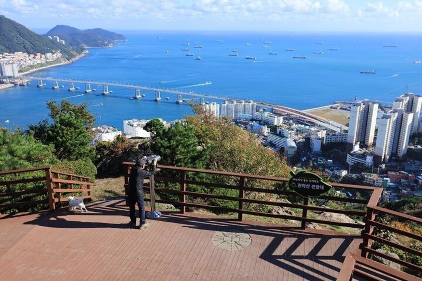 PRIVATE MORNING HIKING TO SEE THE SPECTACULAR BUSAN CITY VIEW (326m / 1,070ft)