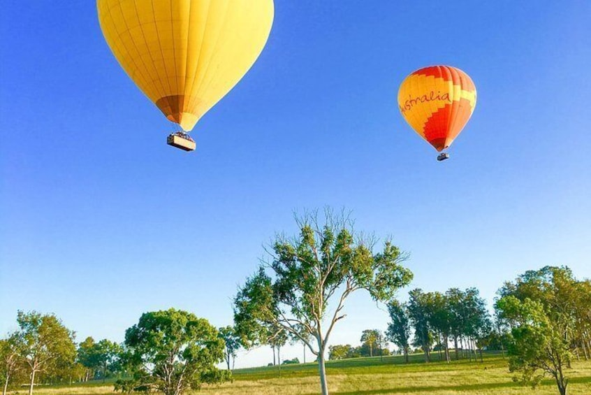 Hot Air Ballooning Brisbane including Canungra Vineyards breakfast