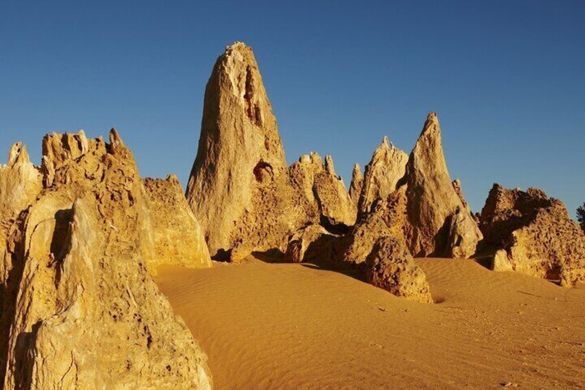 Pinnacles Desert Private Tour