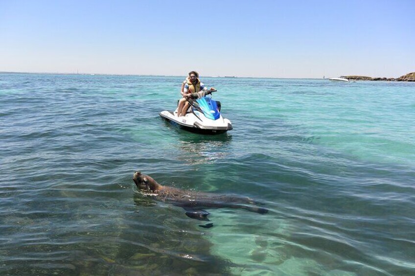 Blast Jet Ski Tour at Carnac Island