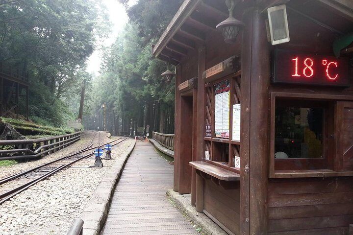 Kaohsiung Departure - Alishan National Park Day Tour