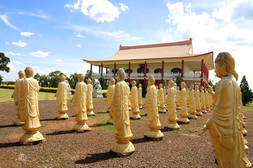 City Tour with Buddhist Temple, Muslim Mosque and Ecomuseum