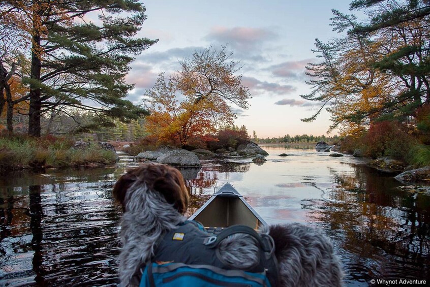 Taste of the Tobeatic Canoe Trip - 4 Day