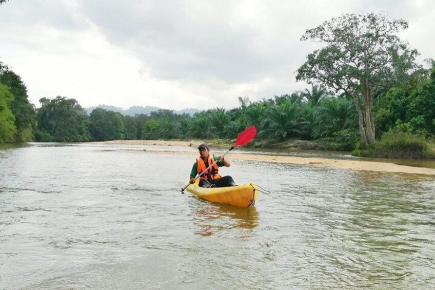 Kayak At Berang River From Kuala Terengganu