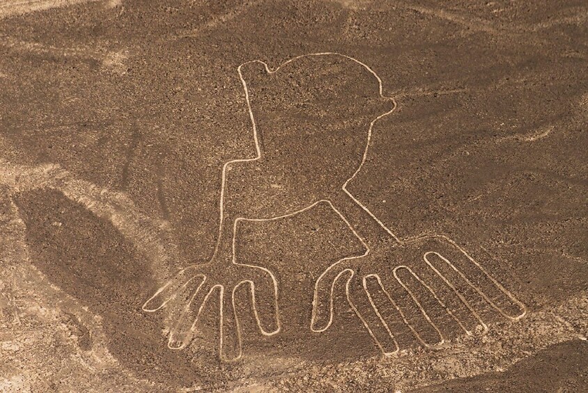 2-Day Nazca Lines and Ballestas Islands from Lima