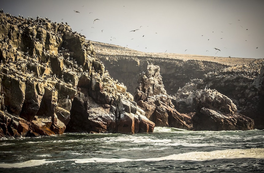 2-Day Nazca Lines and Ballestas Islands from Lima