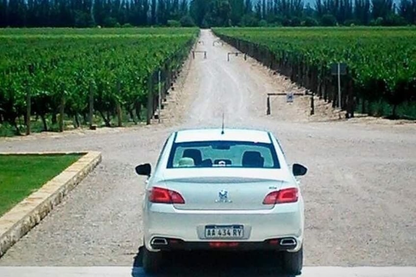 Wine tour in Mendoza Uco Valley