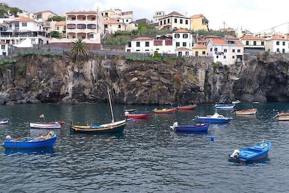 Privat Madeira-tur op til 4 personer