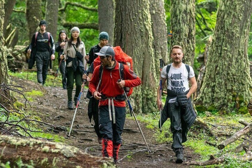  Small group Trekking to Vinciguerra Glacier and Témpanos Lagoon 