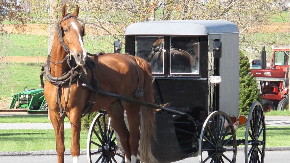 Show item 1 of 5. Horse-drawn buggy in Lancaster