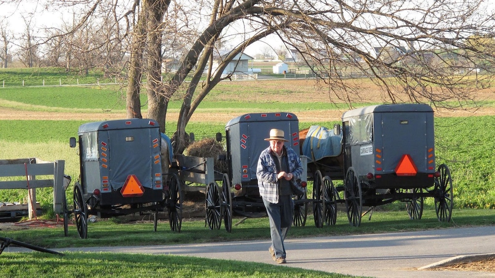 Show item 4 of 5. Man walking near parked carriages in front of a field in Amish Country, Lancaster