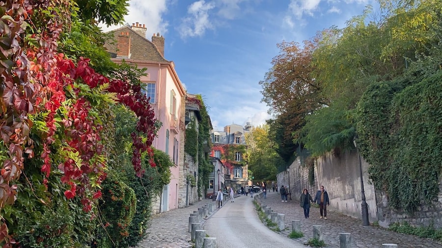 Paris: Montmartre Semi Private Walking Tour