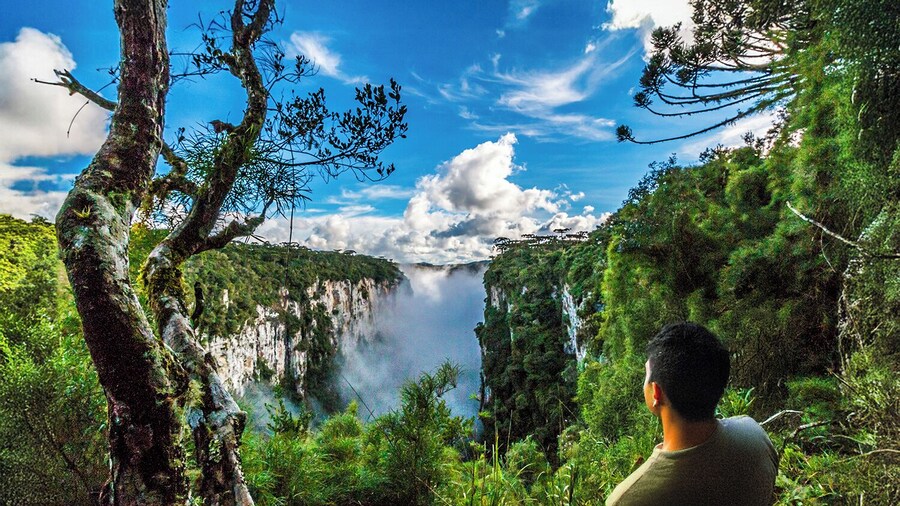 Canyon Itaimbezinho Tour with Picnic