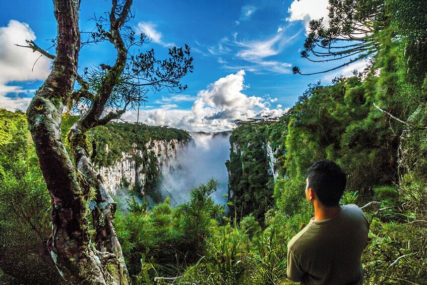 Canyon Itaimbezinho Tour with Picnic