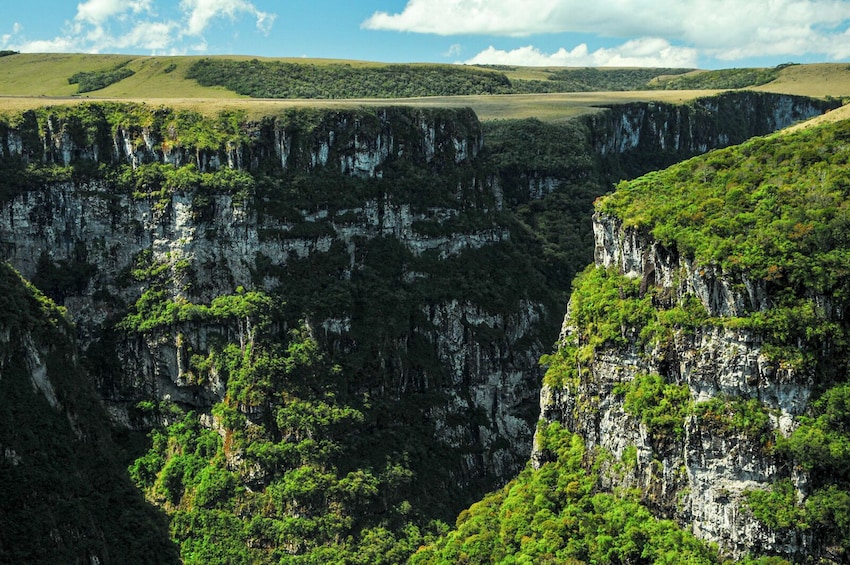 Canyon Itaimbezinho Tour with Picnic