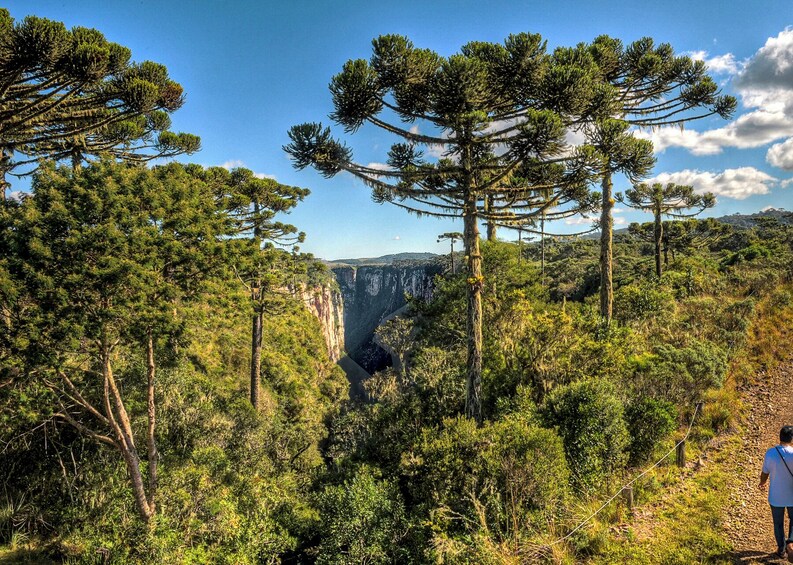 Canyon Itaimbezinho Tour with Picnic