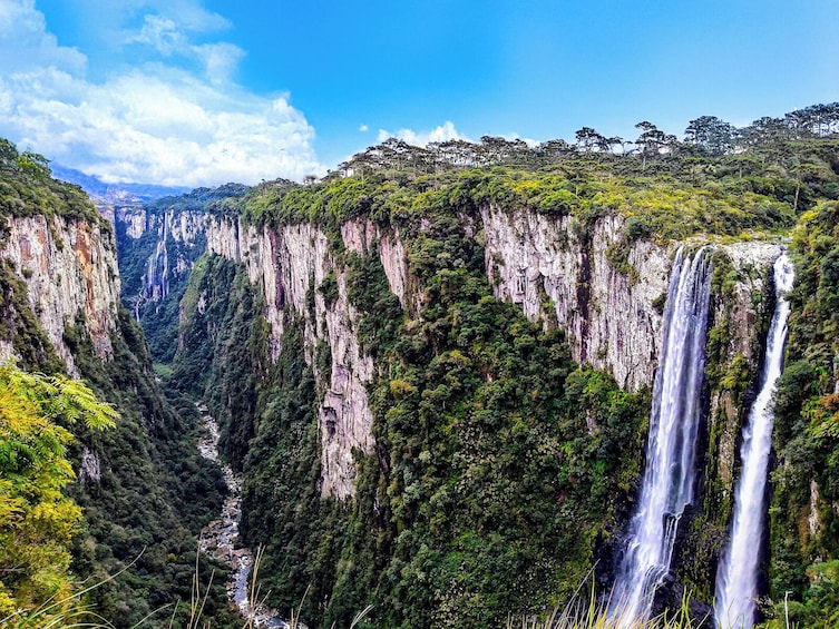 Canyon Itaimbezinho Tour with Picnic