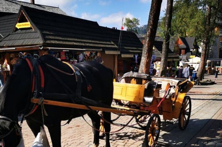 Zakopane Funicular Hill & Thermal Springs regular tour