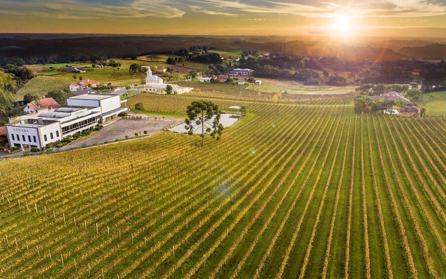 Gran Reserva Tour - Wine tasting