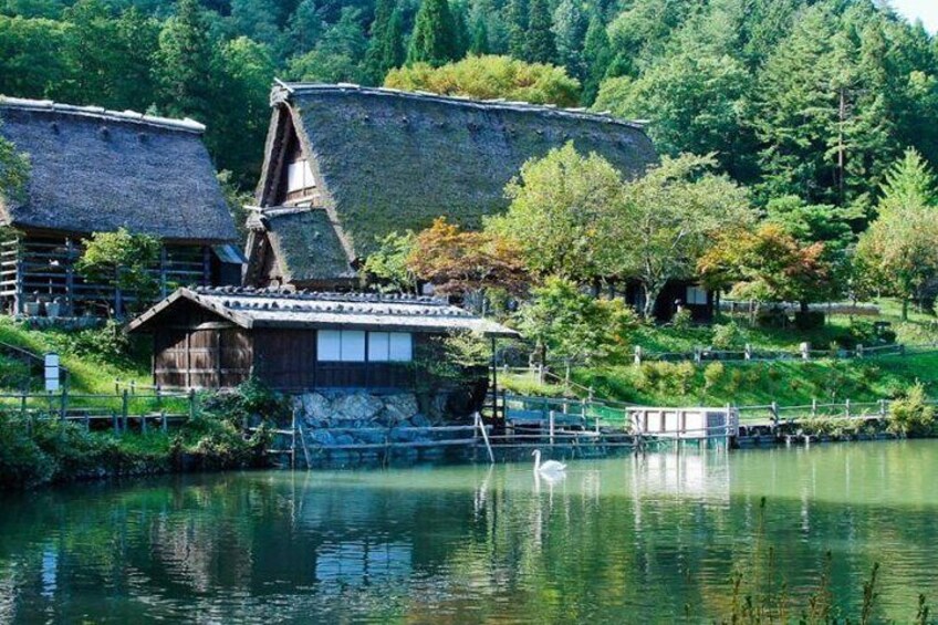 Takayama Full-Day Private Tour with Government Licensed Guide