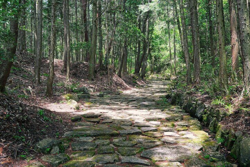 Magome & Tsumago Nakasendo Trail Day Hike with Nationally-Licensed Guide