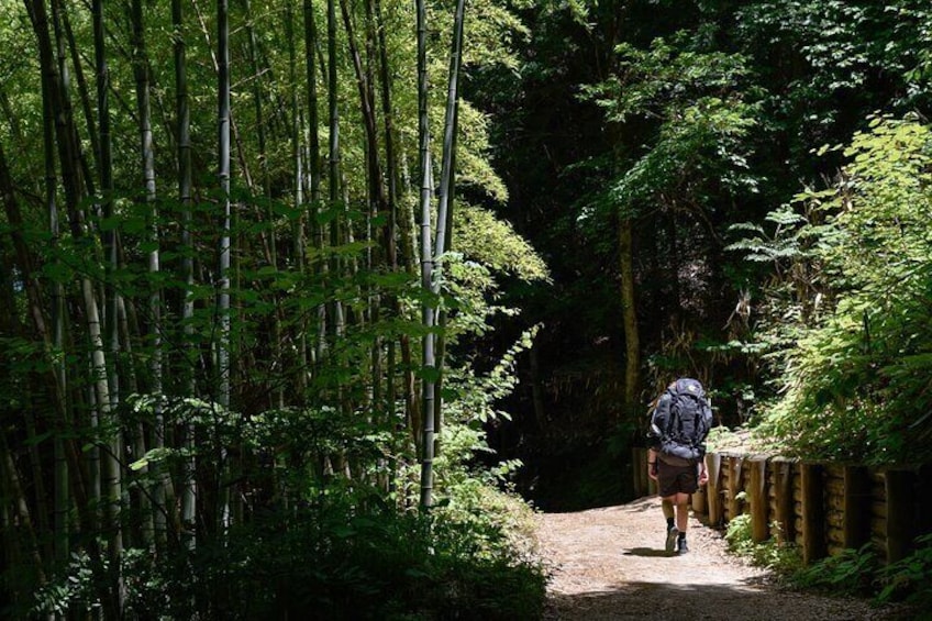 Magome & Tsumago Nakasendo Full-Day Private Trip with Nationally-Licensed Guide