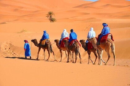 From Marrakech 3 Days 2 Nights Desert Trip to Merzouga Dunes