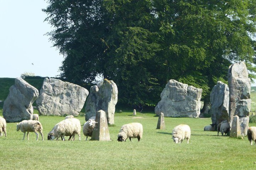 Sheep and people are allowed to roam among the stones in Avebury!