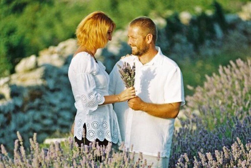 in Lavender fields