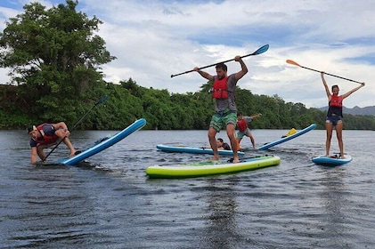 Private 1.5 - 2 hour afternoon SUP class for all ages and levels