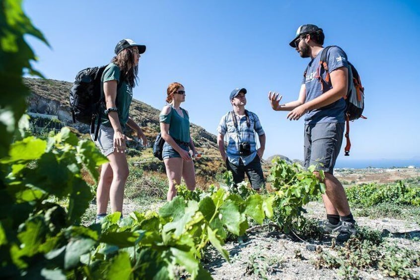 Santorini : Cooking Class, Easy Hike, and Snorkeling