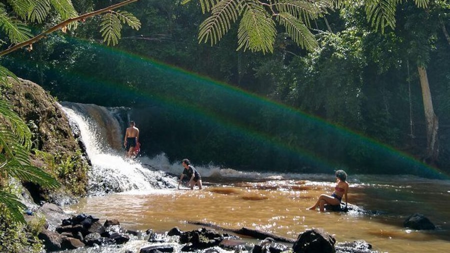 Hike through Secret Waterfalls in Foz do Iguaçu