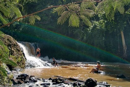 Hike through Secret Waterfalls in Foz do Iguaçu (Part-time - Morning)