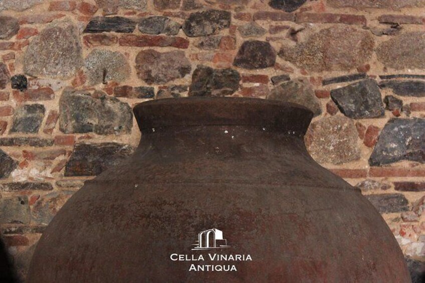 Show item 5 of 16. Cella Vinaria Antiqua Guided Tour