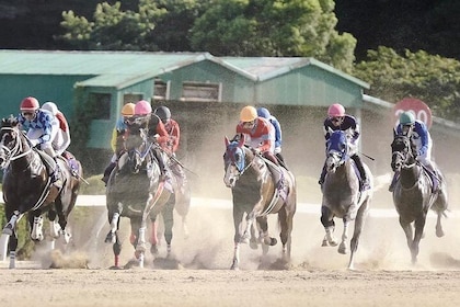 A tour to enjoy Japanese official gambling (horse racing, bicycle racing, p...