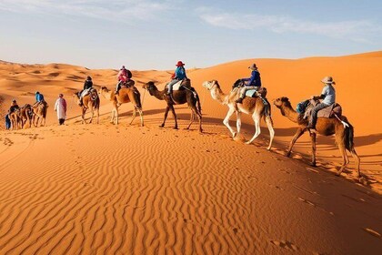3 Day Luxury Tour: Sahara desert & luxury camp from Marrakech