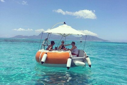 Discovery of the lagoon of Tahiti in Donuts Boats - 2 hour outing