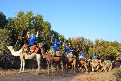 Passeggiate di 2 ore alla scoperta di Essaouira