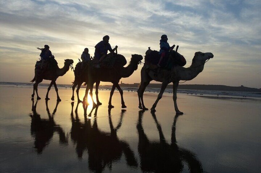 3 hours ride on camel at sunset