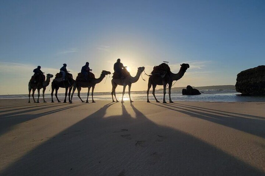 3 hours ride on camel at sunset