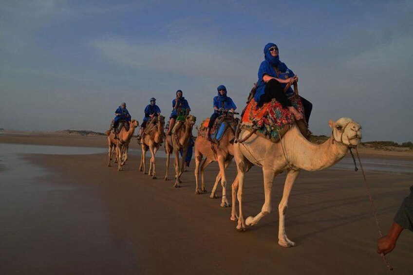 3 hours ride on camel at sunset