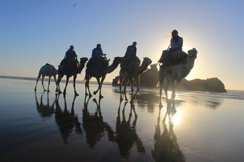 3 hours ride on camel at sunset
