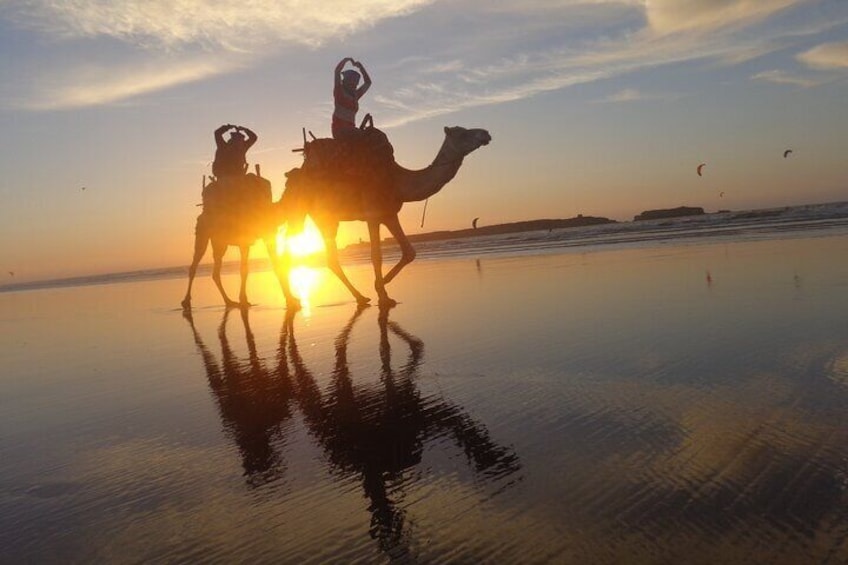 3 hours ride on camel at sunset