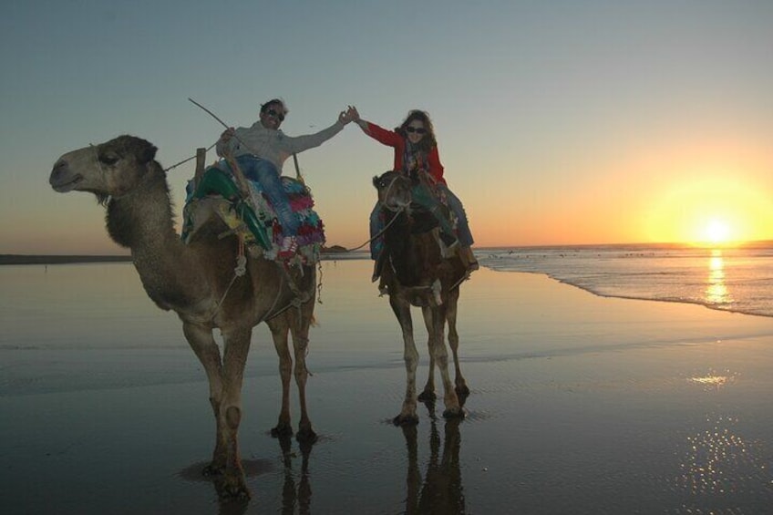 3 hours ride on camel at sunset