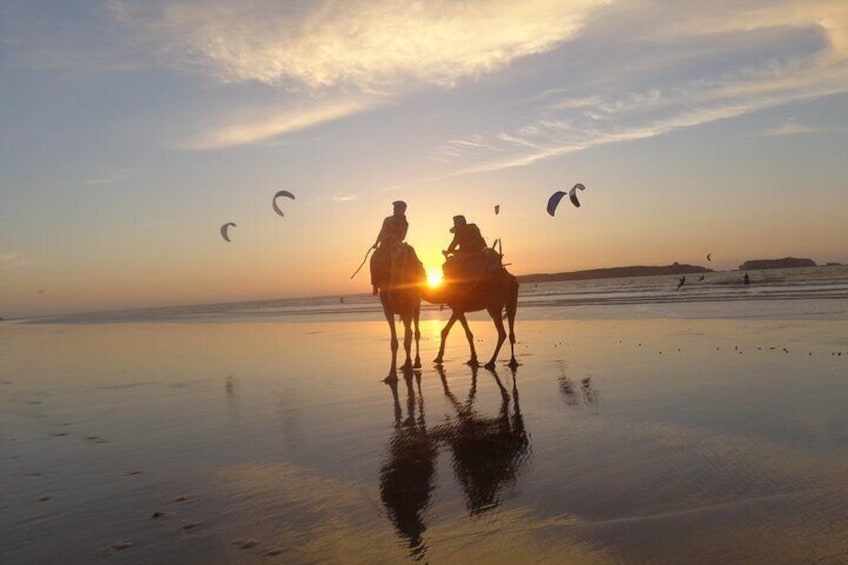 3 hours ride on camel at sunset