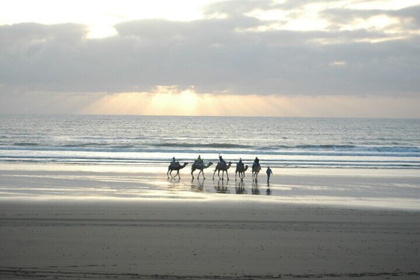3 hours ride on camel at sunset