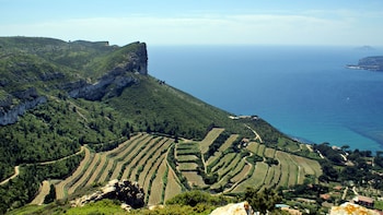 Cassis & Bandol Wine Tasting Tour - 8h