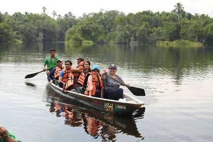 Tours un Dia en la Selva | Amazon Rainforest Tours Full Day